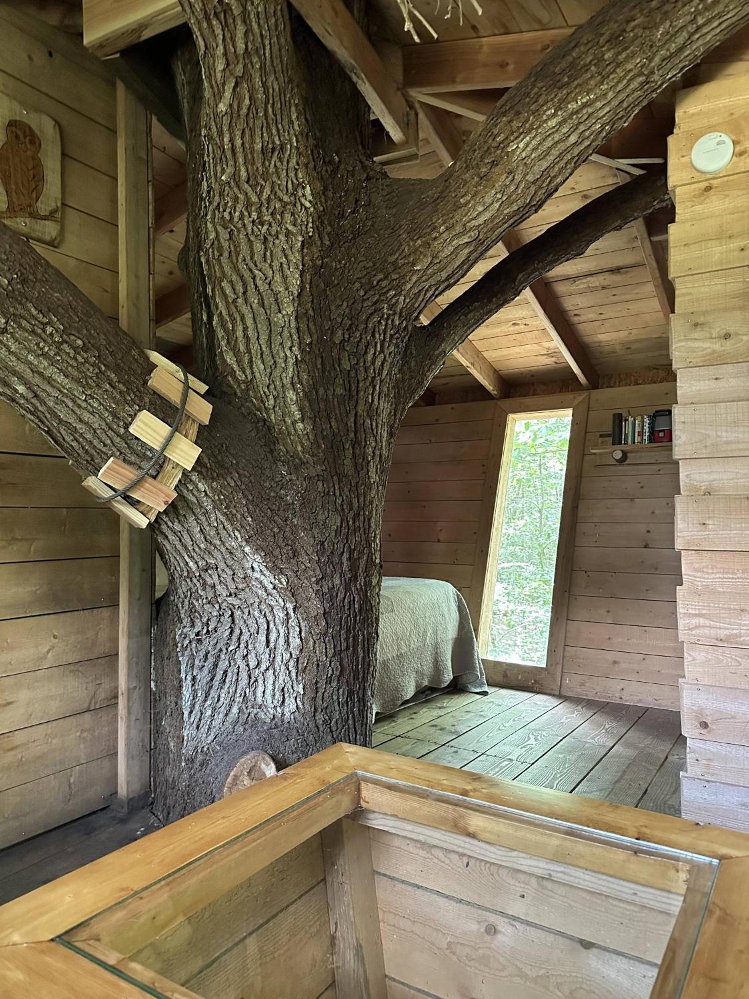 Les Ecolodges De L'Orbiere Force Екстер'єр фото