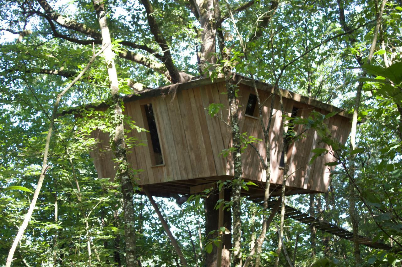 Les Ecolodges De L'Orbiere Force Екстер'єр фото