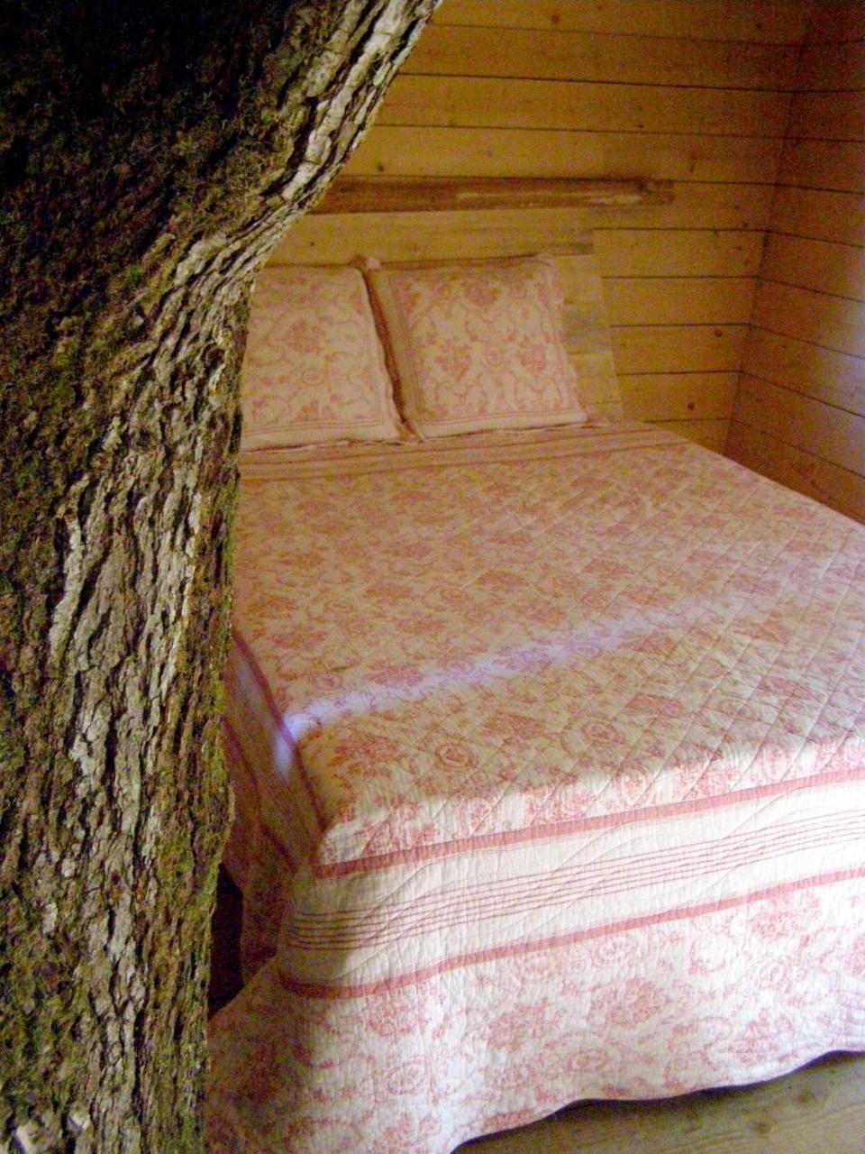 Les Ecolodges De L'Orbiere Force Екстер'єр фото