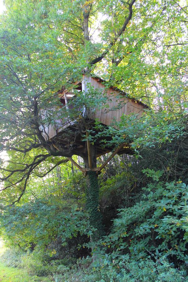Les Ecolodges De L'Orbiere Force Екстер'єр фото